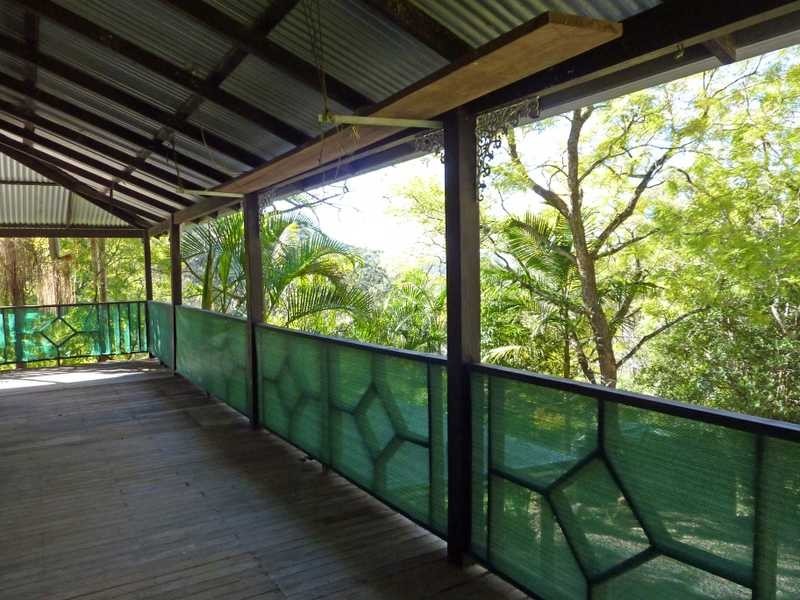 472 Mt Browne Rd, Upper Orara NSW 2450