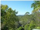 472 Mt Browne Rd, Upper Orara NSW 2450