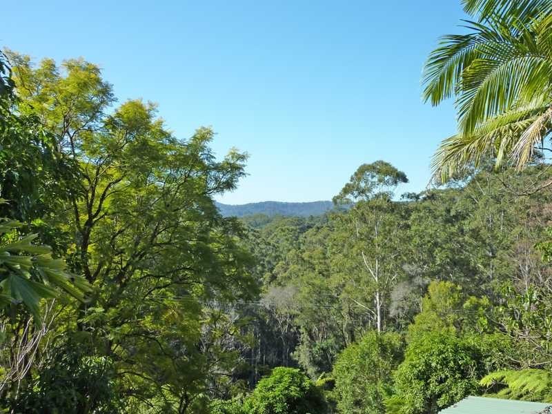 472 Mt Browne Rd, Upper Orara NSW 2450