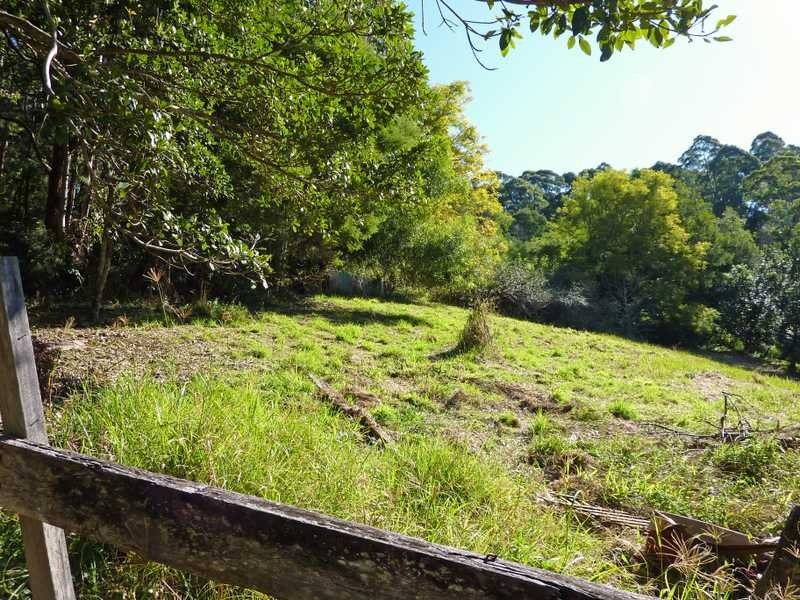 472 Mt Browne Rd, Upper Orara NSW 2450