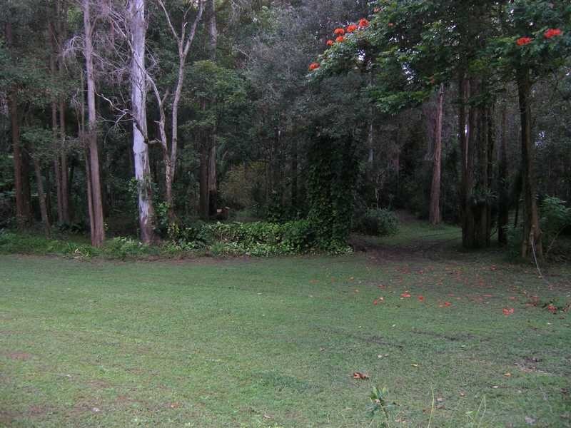11 Rainford Drive, Boambee NSW 2450