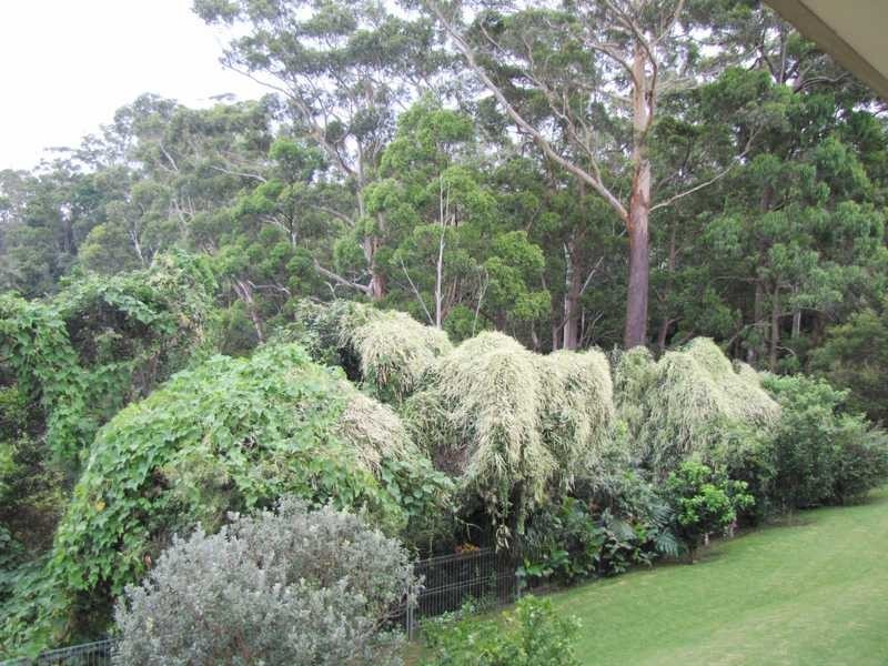 10 Malcolm Place, Coffs Harbour NSW 2450