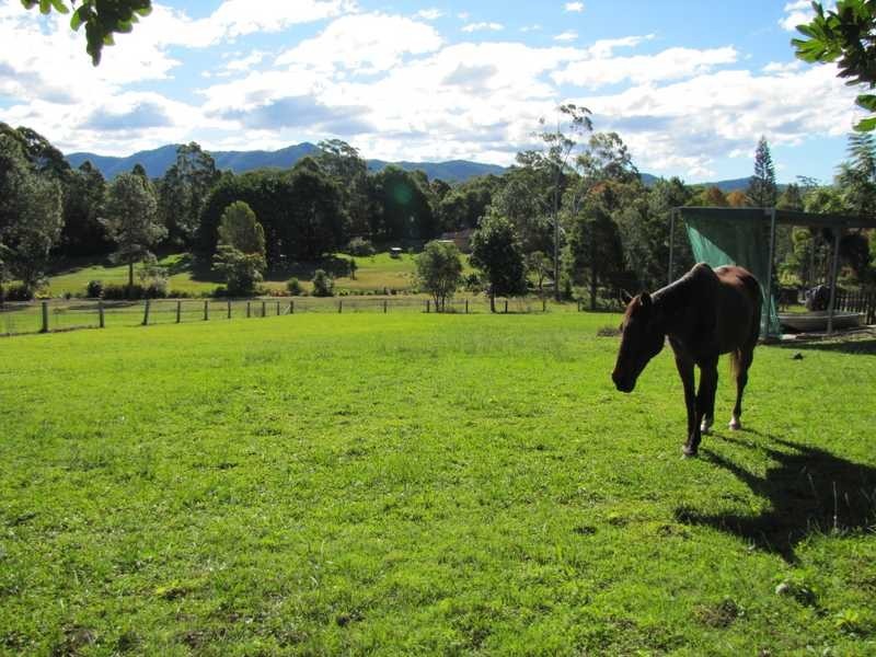 19 Gould Road, Bonville NSW 2441