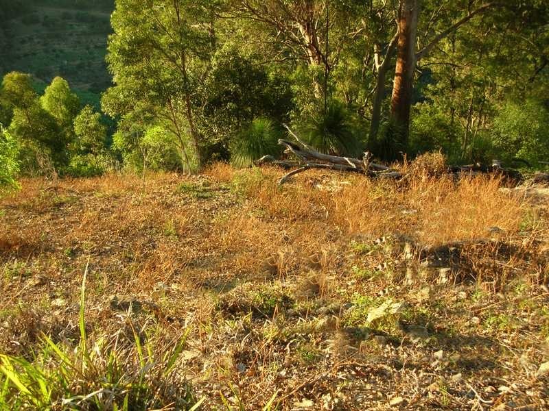 Lot 4 Bruxner Park Rd Korora, Coffs Harbour NSW 2450