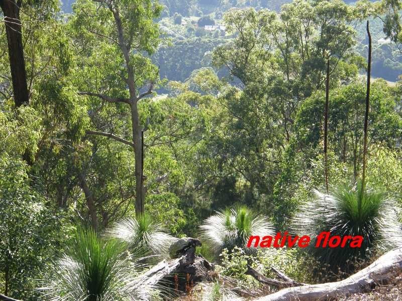 Lot 4 Bruxner Park Rd Korora, Coffs Harbour NSW 2450