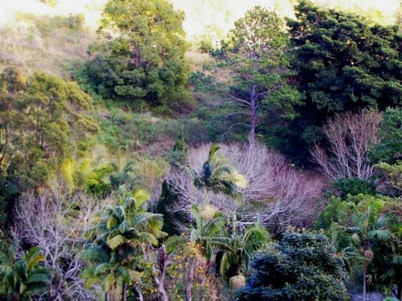 Lot 8/285 Gaudrons Road, Sapphire Beach NSW 2450