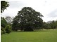 35 Ayrshire Park Drive, Boambee NSW 2450