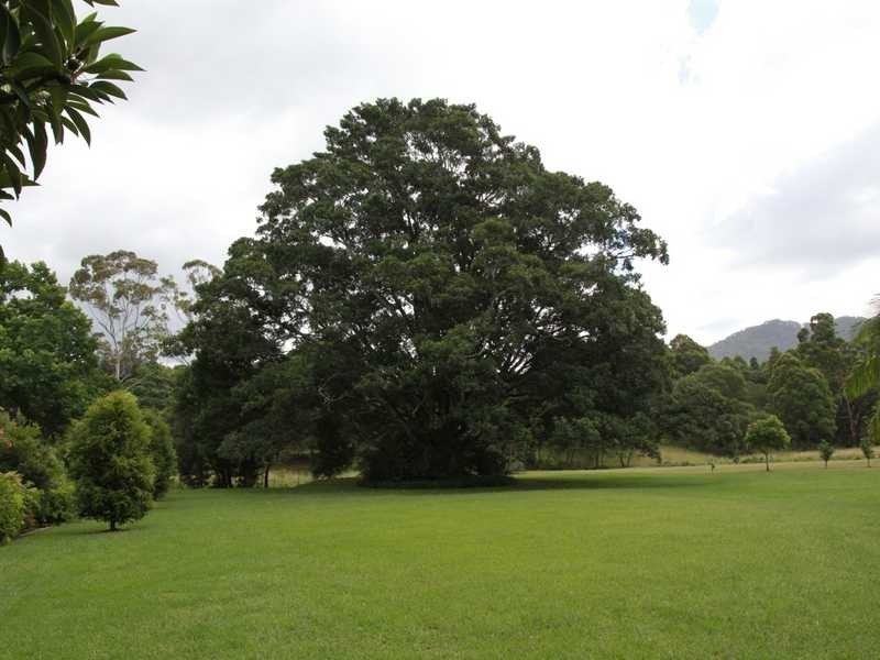 35 Ayrshire Park Drive, Boambee NSW 2450