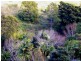 Lot 8/285 Gaudrons Road, Sapphire Beach NSW 2450