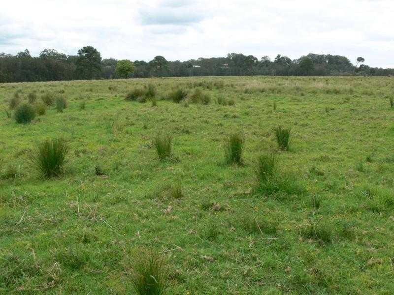 Nambucca Heads NSW 2448