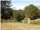 90a Cassidy’s Road, Bonville NSW 2441