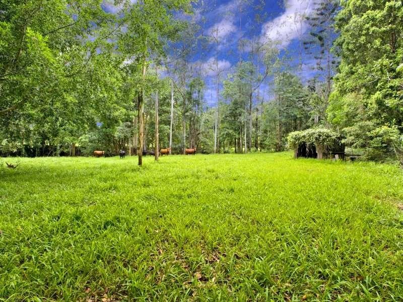 111-131 Central Bucca Road Bucca, Coffs Harbour NSW 2450