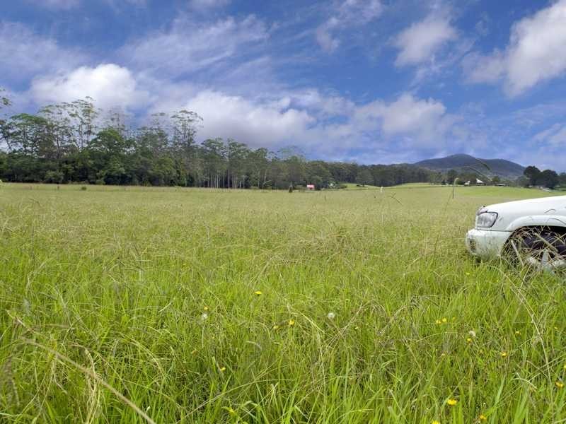 111-131 Central Bucca Road Bucca, Coffs Harbour NSW 2450