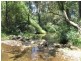 825 Tallawudjah Creek Road, Glenreagh NSW 2450