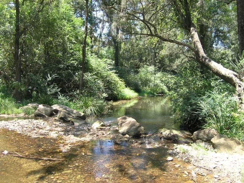 825 Tallawudjah Creek Road, Glenreagh NSW 2450