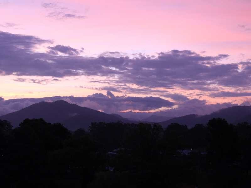 16 Mount Pleasant Drive, Coffs Harbour NSW 2450