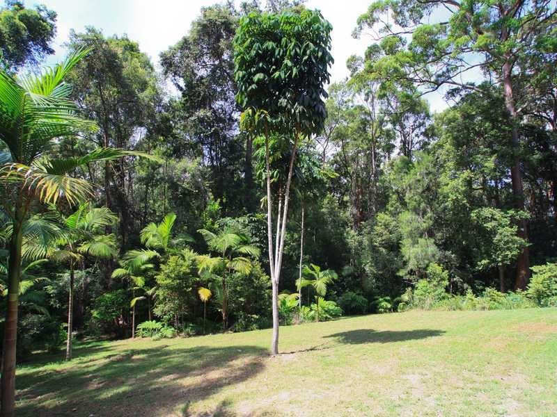 94 Forest Drive, Repton NSW 2454