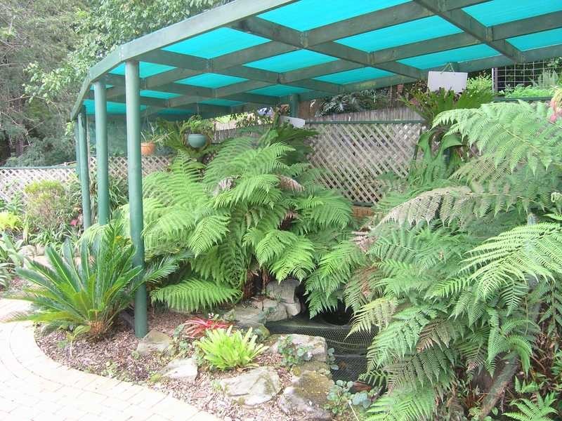 13 Bolwarra Road, Coffs Harbour NSW 2450
