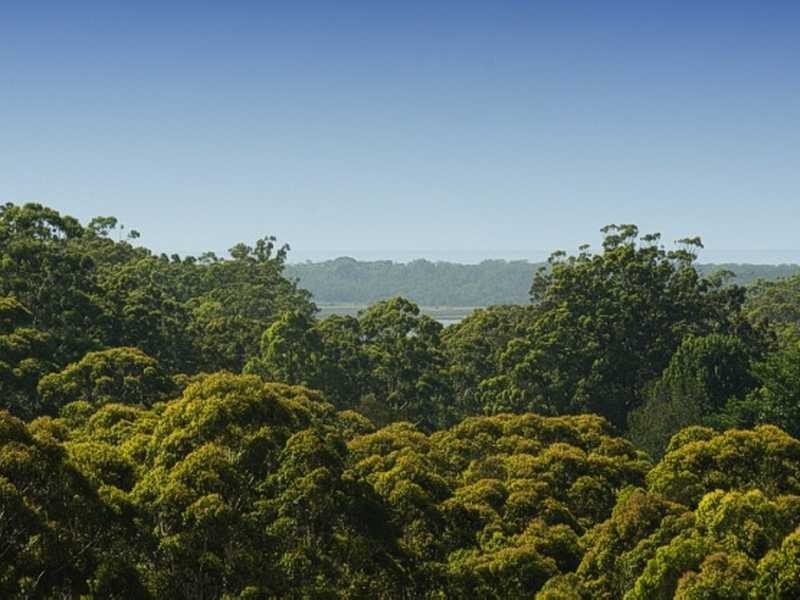 656 Lake Innes Drive, Lake Innes NSW 2446