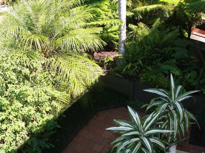 14 Beechtree Circuit, Port Macquarie NSW 2444