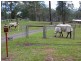 527 Fernbank Creek Road, Port Macquarie NSW 2444