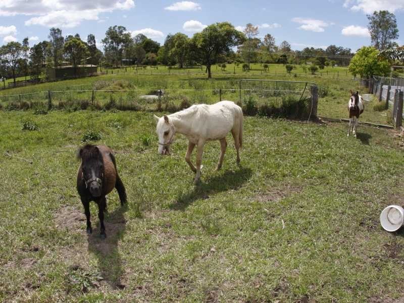 430 Sancrox Road, Sancrox NSW 2446