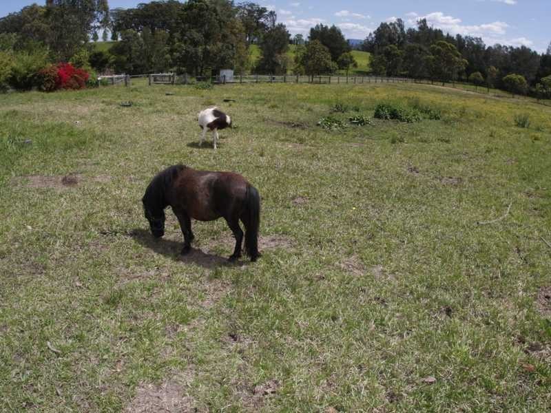 430 Sancrox Road, Sancrox NSW 2446