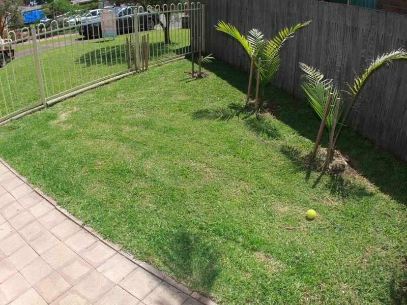 25 Sherana Place, Port Macquarie NSW 2444