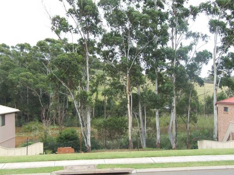 295 Crestwood Drive, Port Macquarie NSW 2444