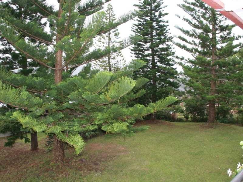 80 Bangalay Drive, Port Macquarie NSW 2444