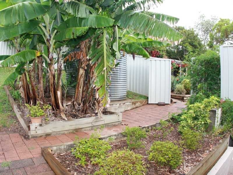 80 Bangalay Drive, Port Macquarie NSW 2444