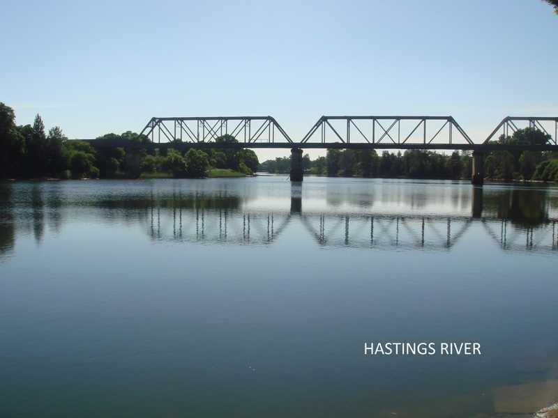 49 Wallace Street, Wauchope NSW 2446