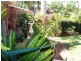 17 Shelbourne Place, Port Macquarie NSW 2444