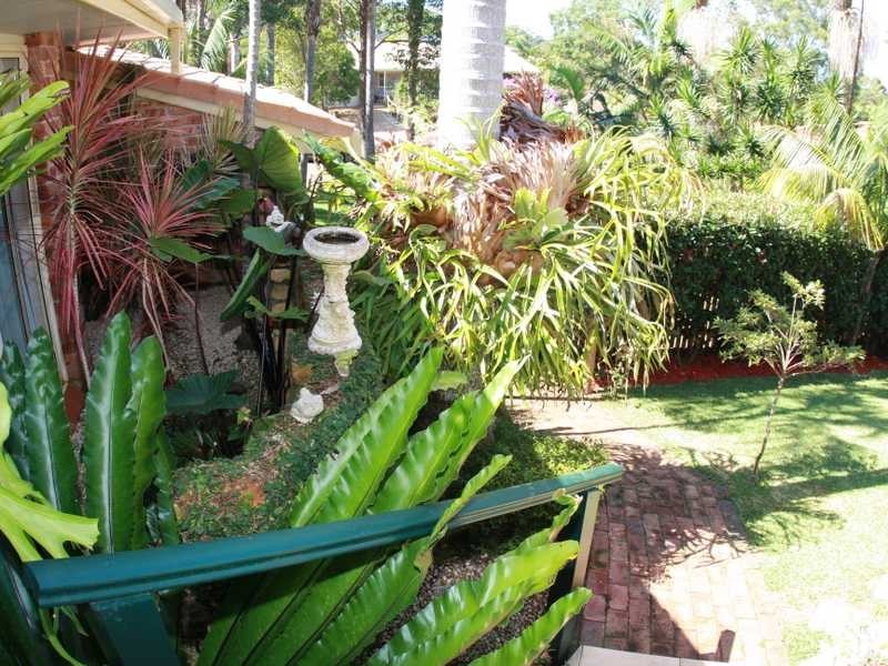 17 Shelbourne Place, Port Macquarie NSW 2444
