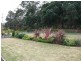 15 Livingstone Road, Port Macquarie NSW 2444