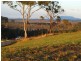 Crestwood Heights Estate, Port Macquarie NSW 2444