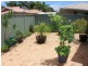 32 Hart Street, Port Macquarie NSW 2444