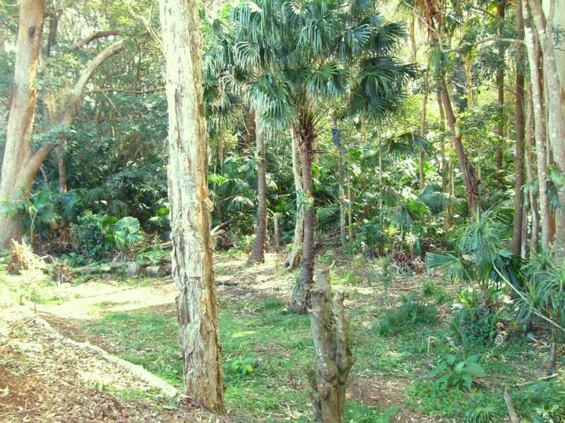 2/37 Tasman Road, Port Macquarie NSW 2444