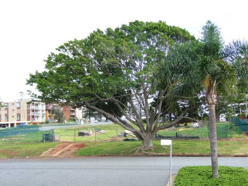 50-52 William Street, Port Macquarie NSW 2444