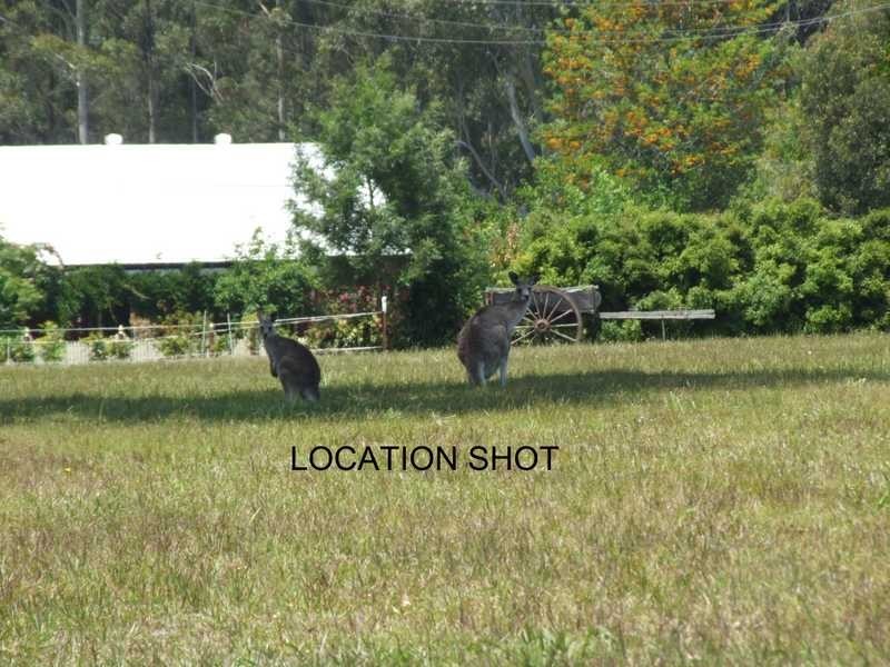 Lot 25 Ilex Place, Wauchope NSW 2446