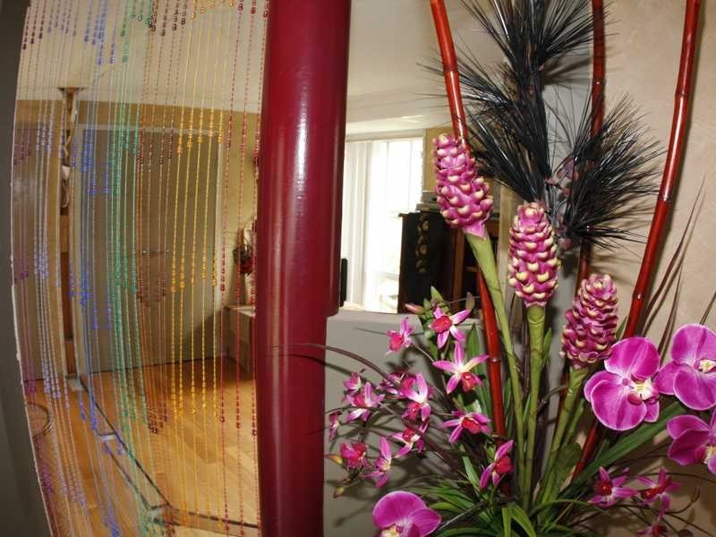 2 Shelbourne Place, Port Macquarie NSW 2444