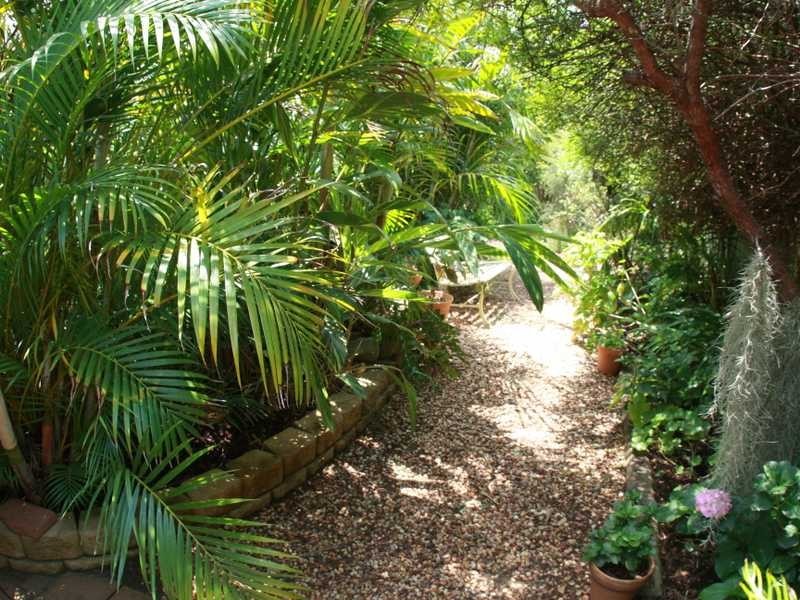 3 Wangi Place, Port Macquarie NSW 2444