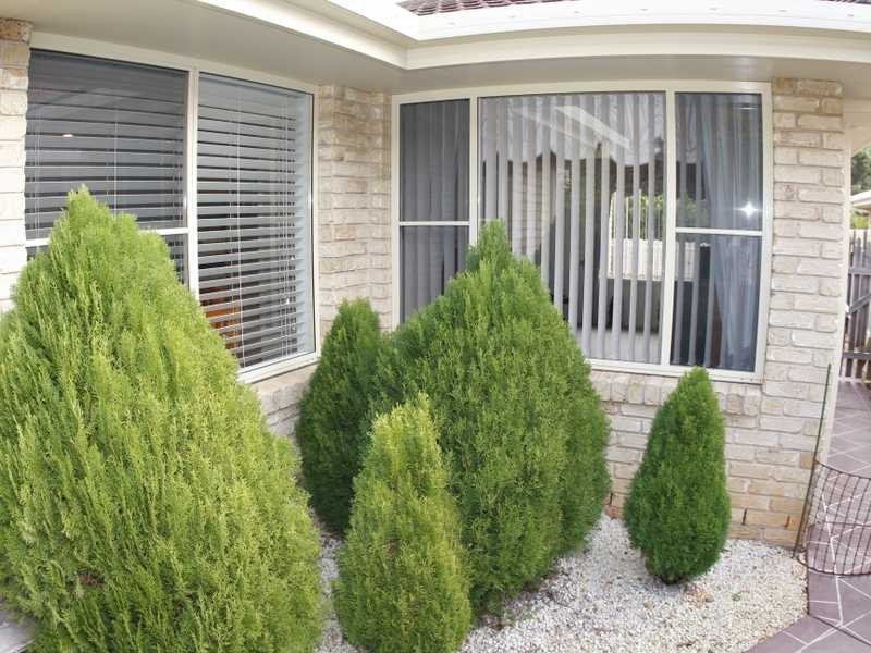 40 Jonas Absalom Drive, Port Macquarie NSW 2444