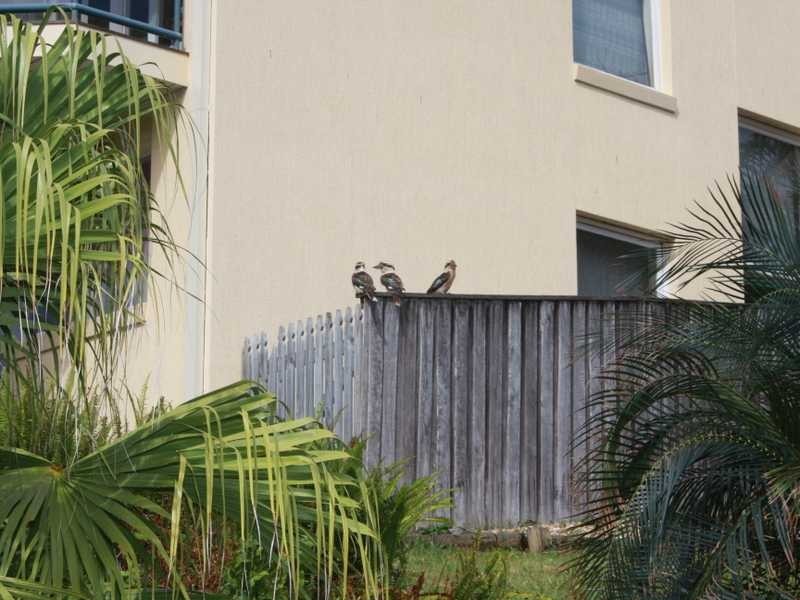 3 Hopetoun Close, Port Macquarie NSW 2444