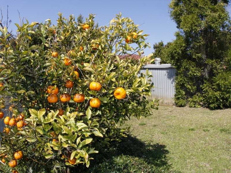 23 Willandra Avenue, Port Macquarie NSW 2444