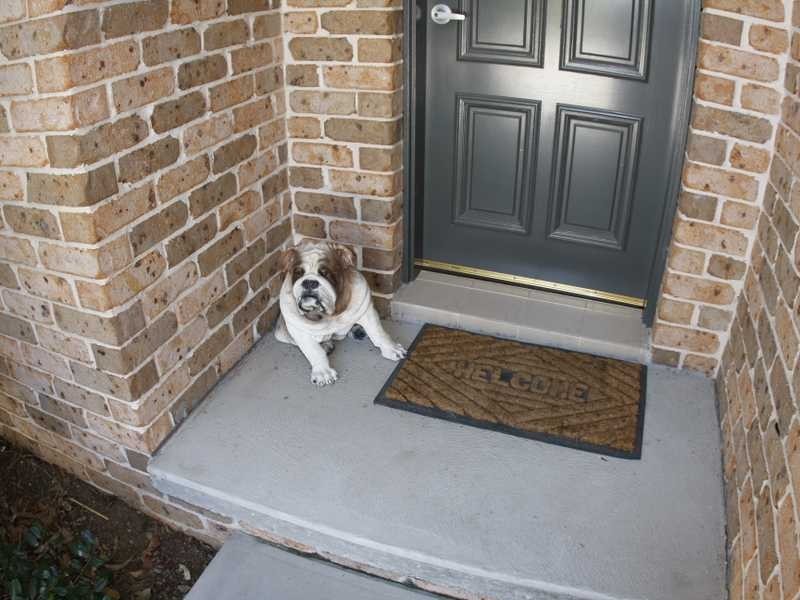 30 Stockwhip Place, Wauchope NSW 2446