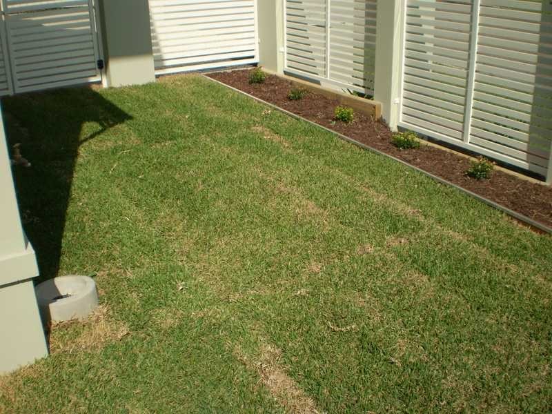 1/30 The Boom, Port Macquarie NSW 2444