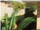 11 Wiruna Rd, Port Macquarie NSW 2444