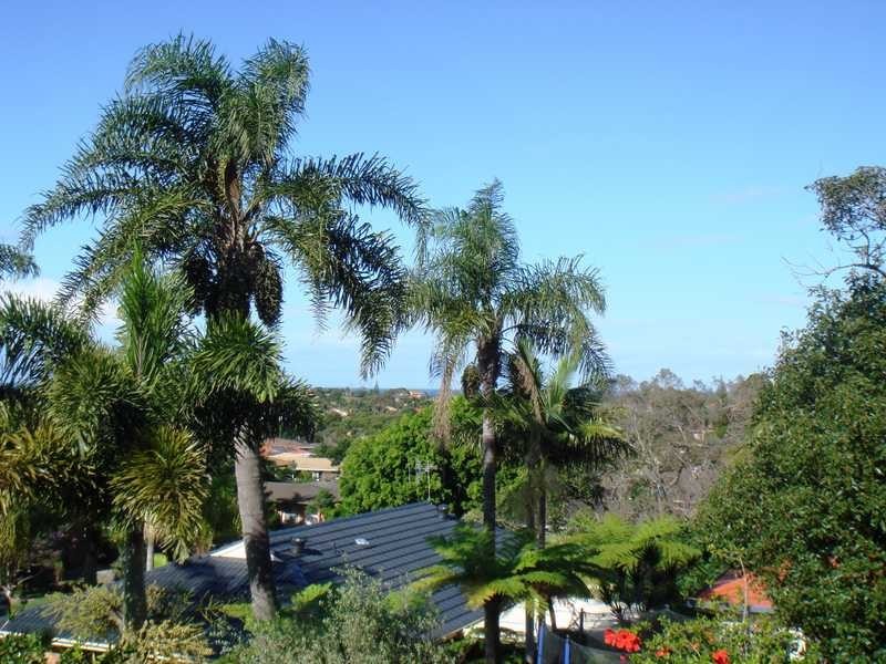 4 David Close, Port Macquarie NSW 2444
