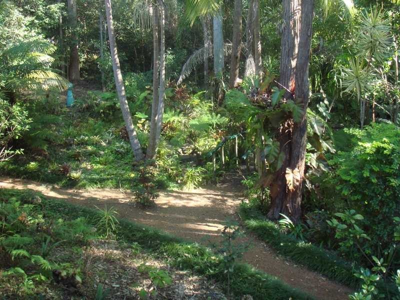 147 Granite Street, Port Macquarie NSW 2444